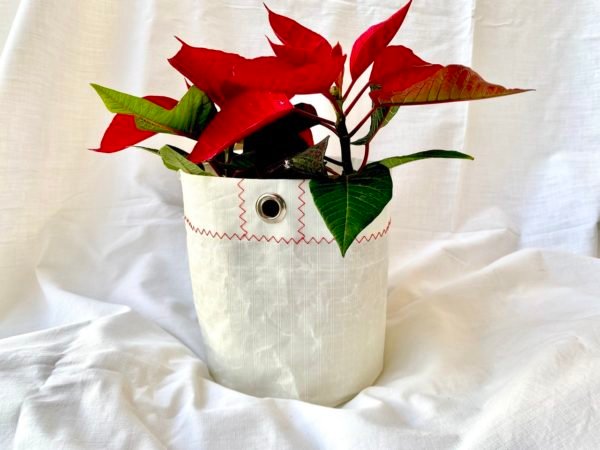 Cesta multiusos de Aqualata Navidad
